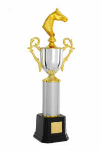 Troféu Tradicional Ref. 300161 - 75 cm