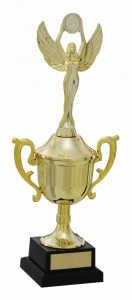 Troféu Tradicional Ref. 500153 - 29 cm