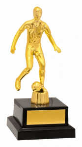 Troféu Tradicional Ref. 600060 - 17 cm